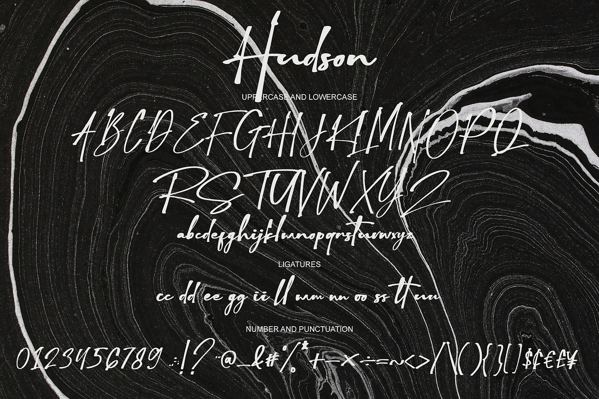 Hudson, a Script Font by alphArtype (Photo 8 of 9)