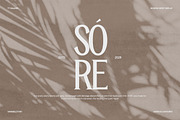 TT Galiner – Timeless Elegance Serif, a Serif Font by truetype (Thumbnail 3 of 15)
