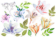 Hand Drawn watercolor flowers lily, an Object Graphic by Knopazyzy (Thumbnail 3 of 6)