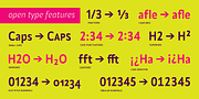 Alamia, a Sans Serif Font by Ani Dimitrova (Thumbnail 9 of 12)