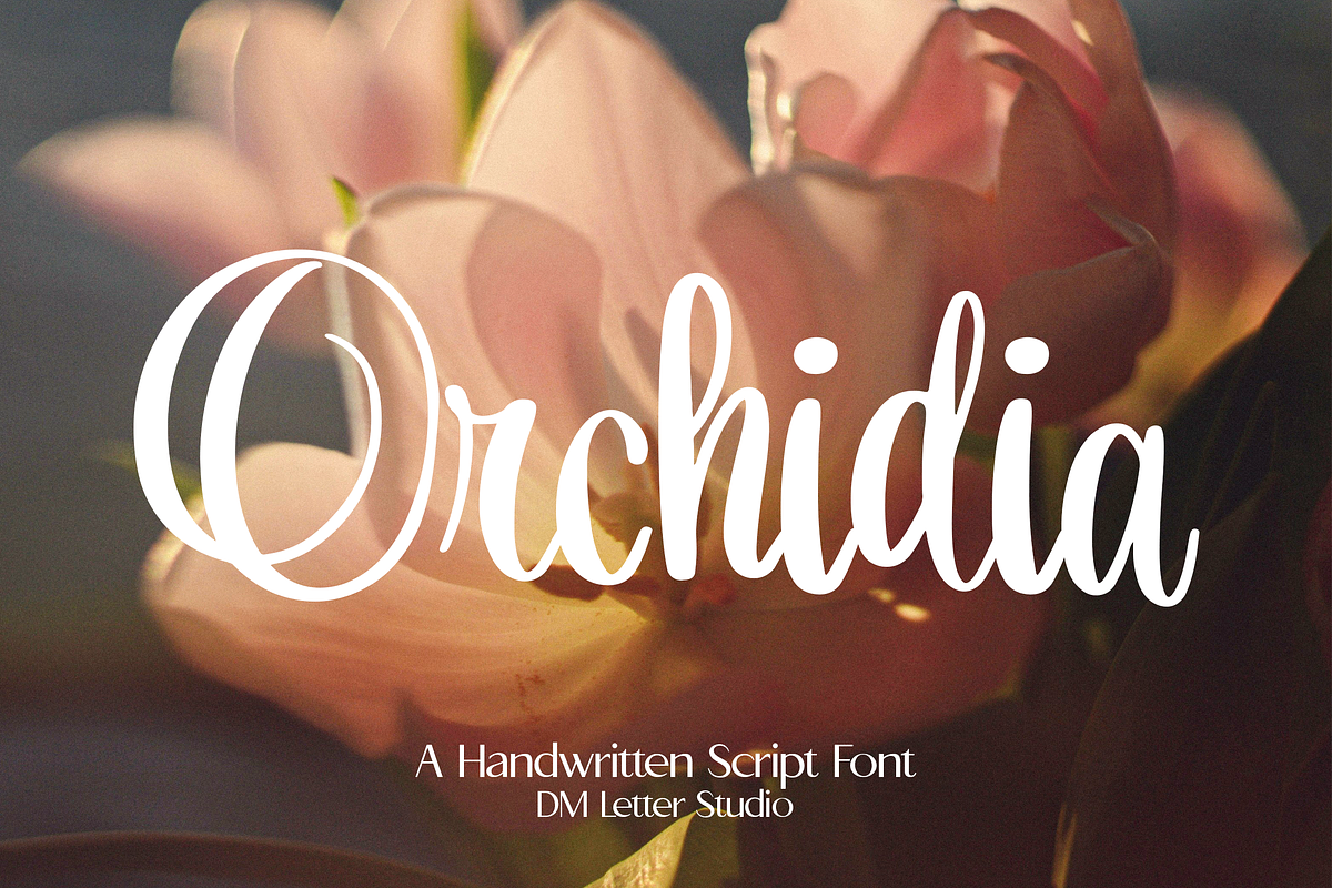 Orchidia, a Script Font by Dm Studio (Photo 1 of 11)