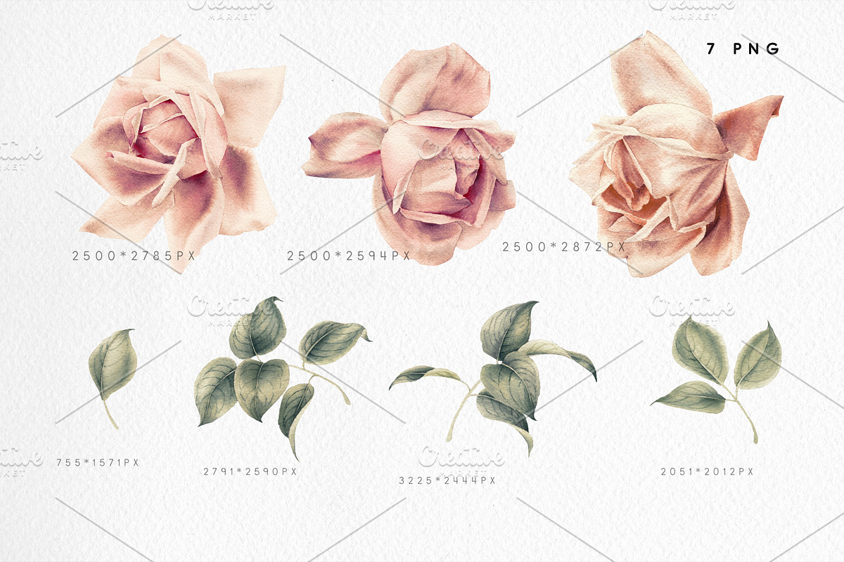 Watercolor flowers, vintage style, a Decorative Illustration by ollalya (Photo 3 of 4)