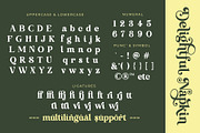 Delightful Napkin Modern Serif Font, a Serif Font by Airotype (Thumbnail 11 of 15)