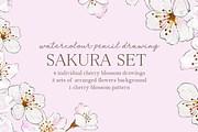 Watercolour Sakura Drawing Set, an Illustration by elpple (Thumbnail 1 of 4)