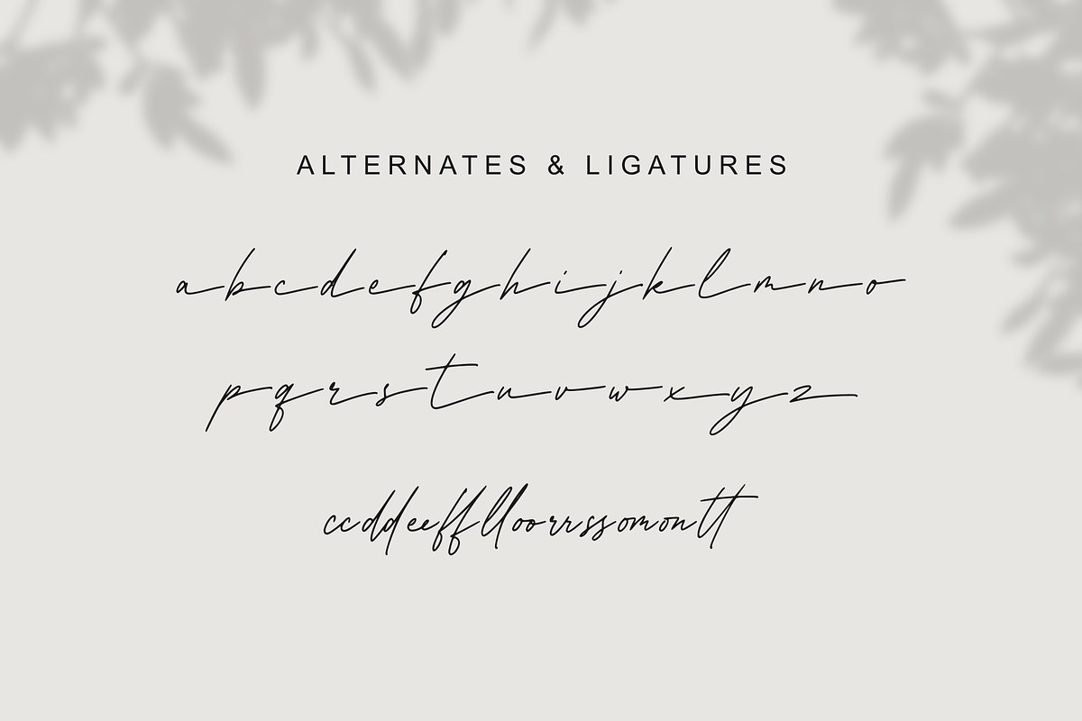 Asmillione - Monoline Signature Font, a Handwritten Font by Sibelumpagi Studio (Photo 10 of 10)