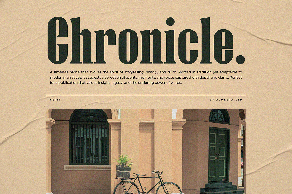 Negire, a Serif Font by Almeera Std (Photo 4 of 6)