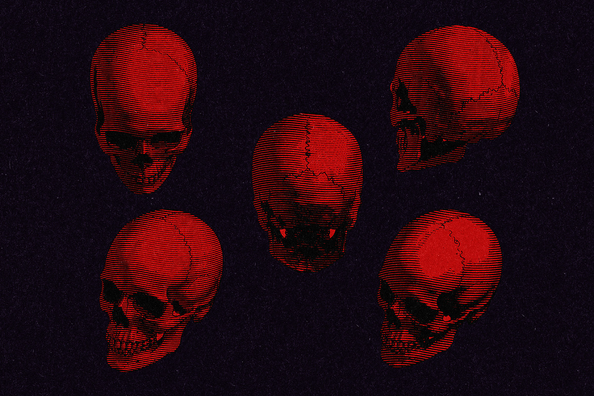 Vintage Skull Engraving Collection, an Object Illustration by Kaizla03 (Photo 3 of 5)