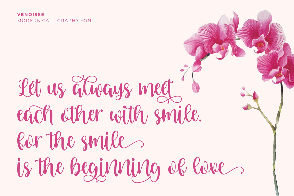 Venoisse - Modern Calligraphy preview 6