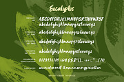 Eucalyptus Brush Script, a Script Font by Eva Black Design (Thumbnail 2 of 4)