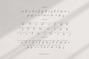 Broted Young Plant Font Duo, a Sans Serif Font by alit design (Thumbnail 8 of 20)