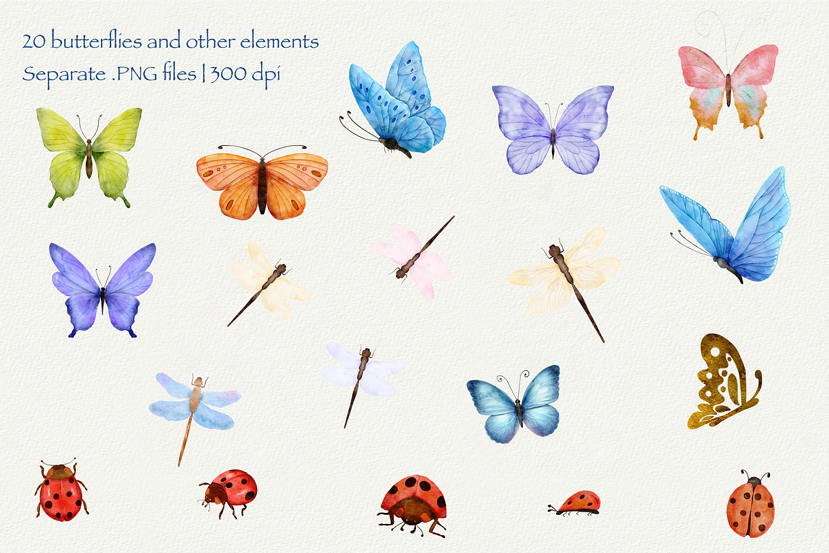 Forest Tales Watercolor Collection, a Decorative Illustration by Aurella Art (Photo 4 of 17)