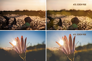 34 bokeh lights photo overlays, a Texture Graphic by Kat Anti (Thumbnail 10 of 11)