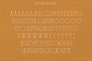 BD Holiday & Picnic, a Slab Serif Font by Brandear Design (Thumbnail 15 of 16)