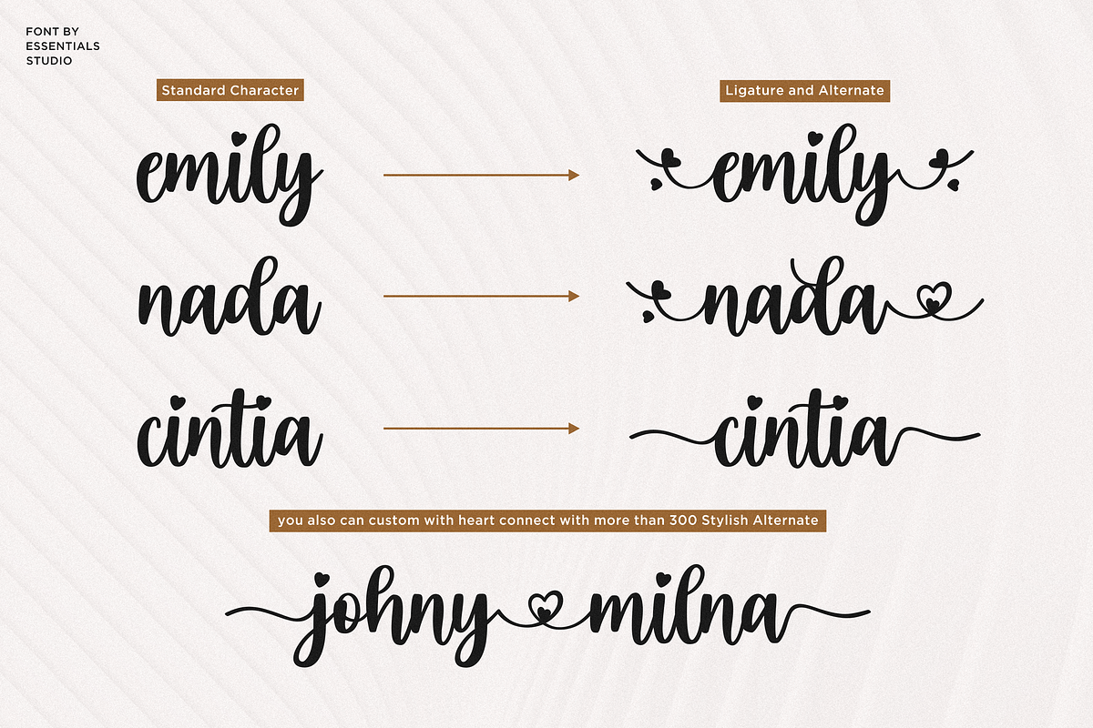 Eilysa Luise, a Script Font by Essentials Studio (Photo 4 of 11)