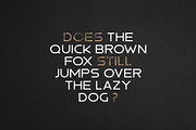 Hermannstadt Font Family, a Sans Serif Font by Graphicdome (Thumbnail 3 of 8)