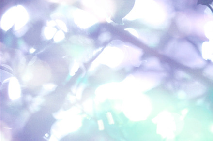 Bokeh landscape preview 6