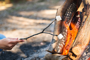 Roasting Marshmallows, a Food & Drink Photo by THP Creative