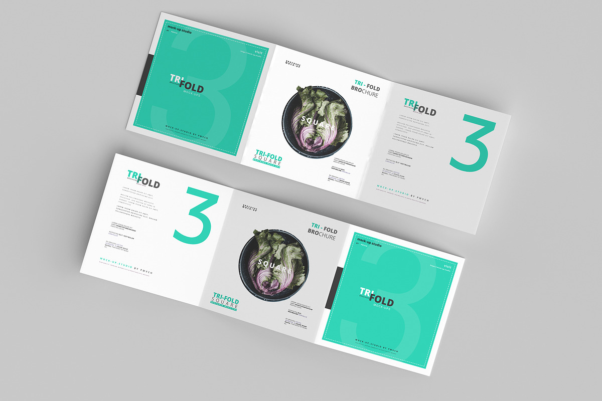165 Brochure Mock-ups Big Bundle, a Print Template by pmvch (Photo 50 of 170)