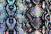 Snake Skin - Seamless Pattern, a Pattern Graphic by Talip Memis (Thumbnail 2 of 7)