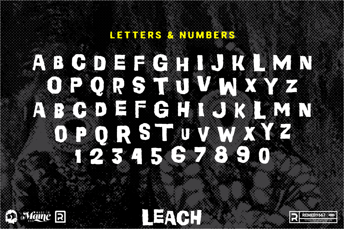 Leach - Handmade Horror Display preview 3