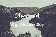 Silver print pack, a Templates & Theme by ApertureVintage (Thumbnail 21 of 29)