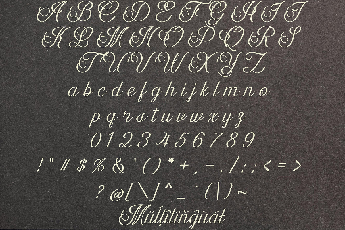 Dalvic – Calligraphy Font, a Script Font by NDNL Studio (Photo 10 of 11)
