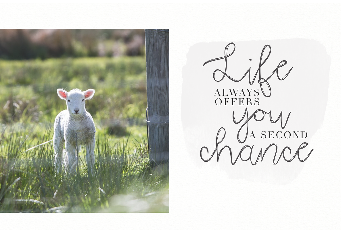 Blooming - Handwritten Font, a Handwritten Font by KA Designs (Photo 3 of 6)