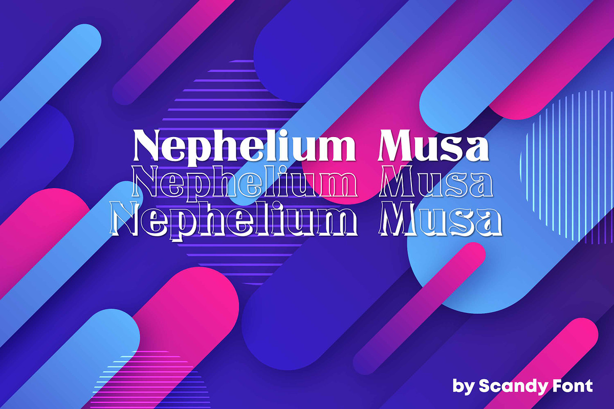 Nephelium Musa | Nice Font, a Serif Font by Scandy Font (Photo 1 of 8)