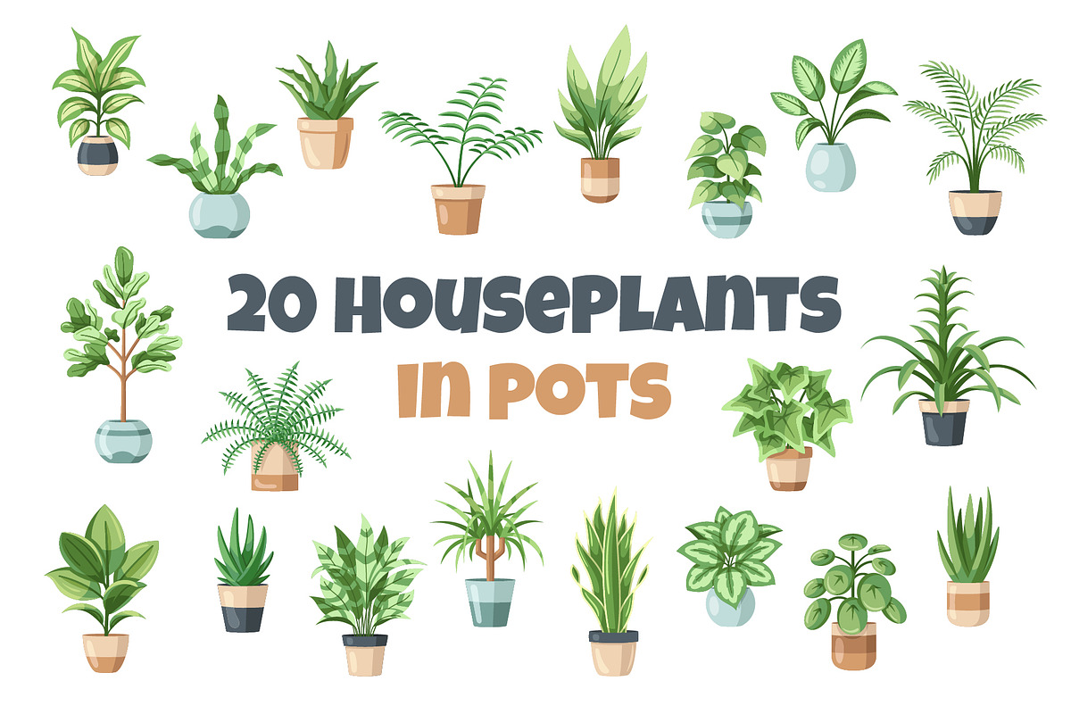 Beautiful House Plants In Pots, a Decorative Illustration by Art Design (Photo 1 of 7)