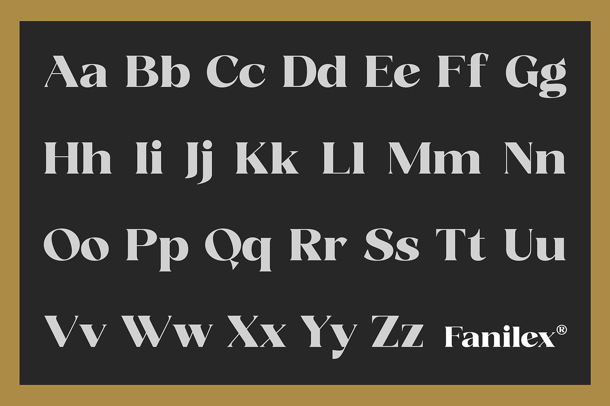 Fanilex, a Serif Font by Propertype (Photo 10 of 16)