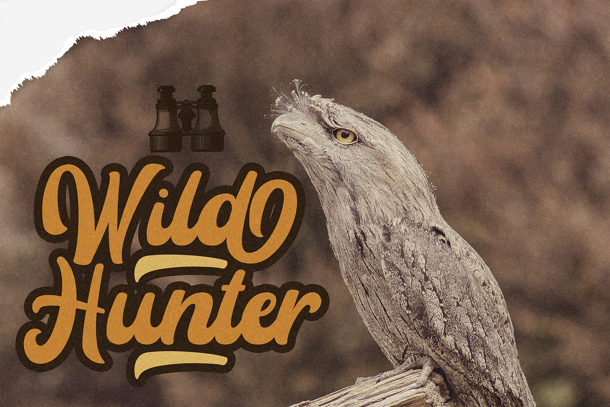 Rayhue - Retro Bold Script Font preview 5