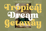 Trendy Voyage Modern Retro Serif, a Serif Font by timelesstype.co (Thumbnail 6 of 20)