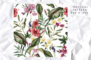 3 Tropical patterns & Floral set, a Pattern Graphic by ollalya (Thumbnail 2 of 5)