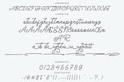 Girly Jacking Monoline Script Font, a Script Font by NTC Graphic (Thumbnail 8 of 9)