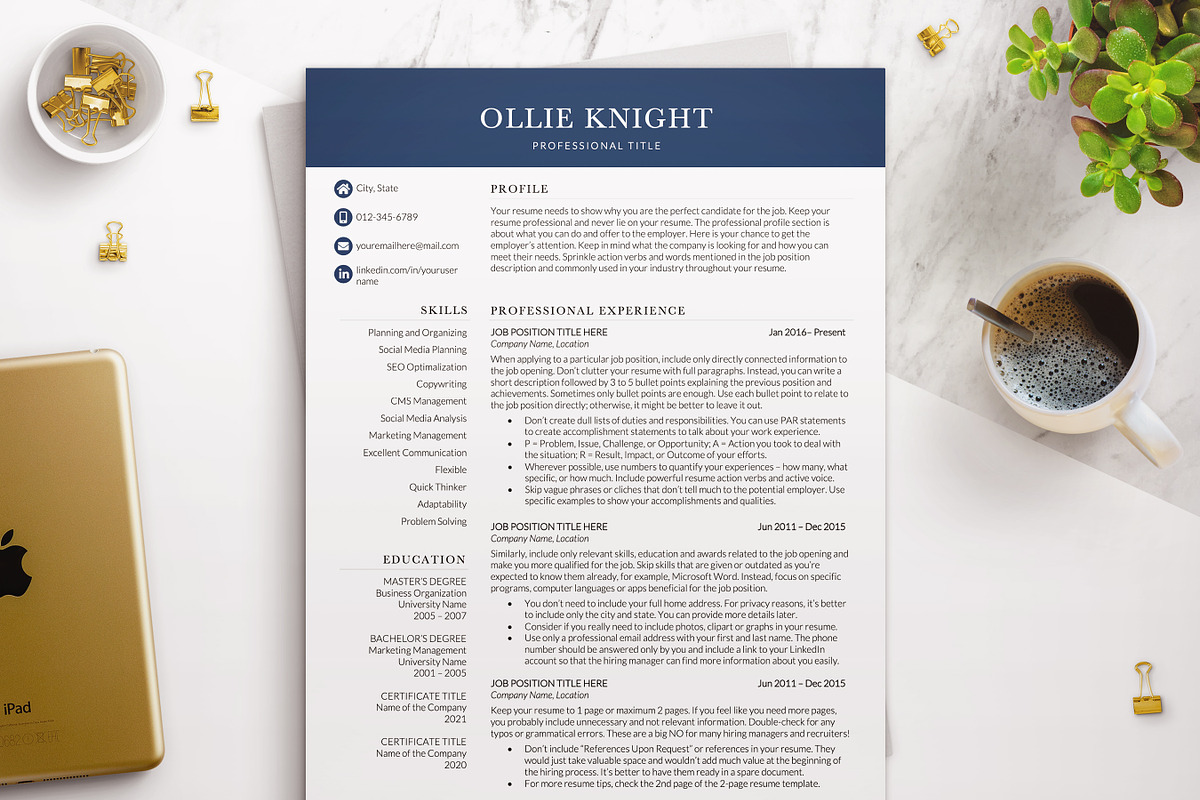 Modern Executive Resume Template, a Resume Template by BestResumes.Co (Photo 1 of 9)