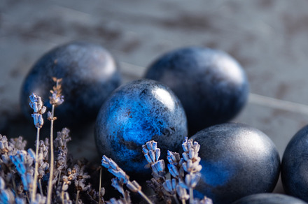Blue Easter eggs on a dark background and a bouquet of lavender flowers. copy s, a Holiday Photo by PavelKant