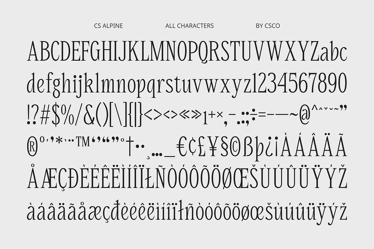 CS Alpine – Contemporary Font, a Serif Font by Craft Supply Co. (Photo 8 of 8)