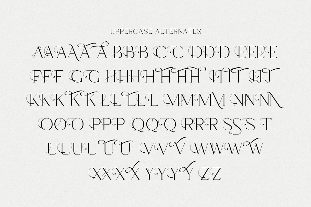Marie Cortney, a Serif Font by Stripes Studio (Photo 5 of 14)