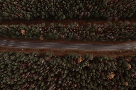 Road with cars between deep green forest in Ural
