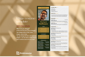 Senior Accountant Resume Template