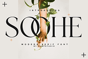 Soohe Modern Serif, a Serif Font by Vampstudio (Thumbnail 1 of 13)