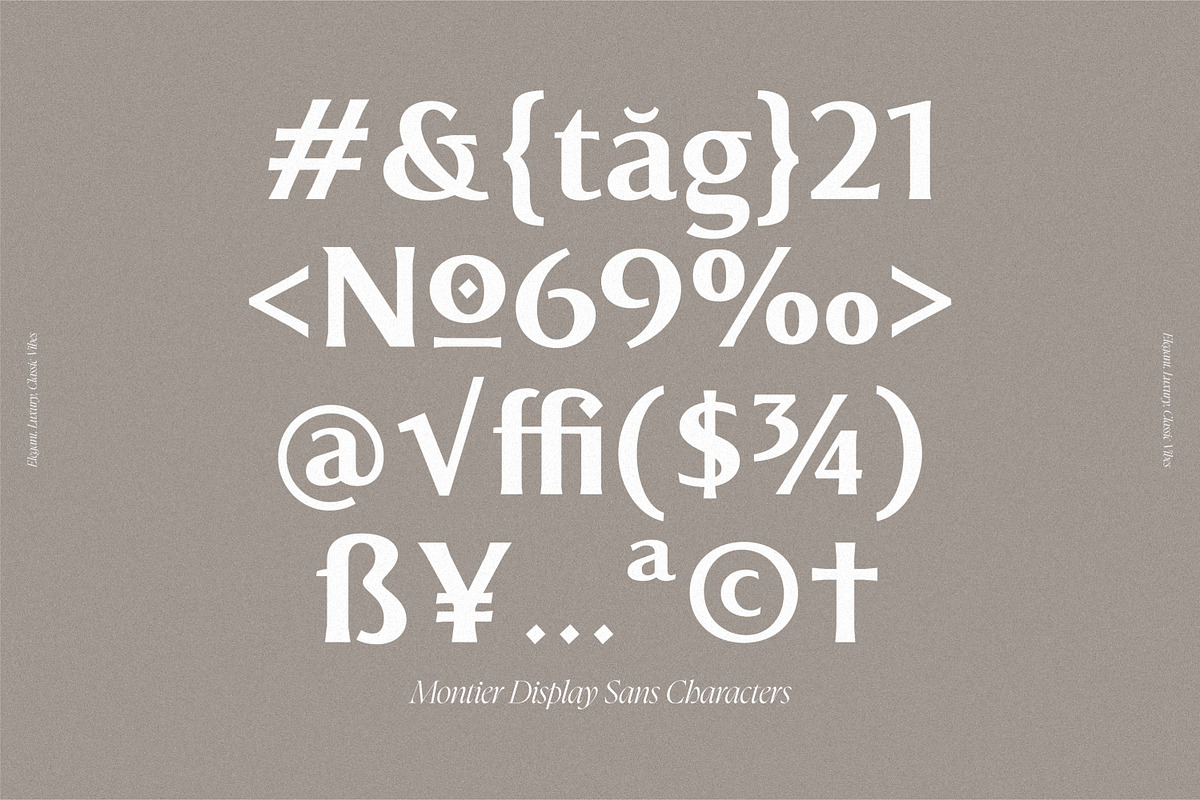 Montier Elegant Display, a Sans Serif Font by Glowtype (Photo 2 of 15)