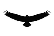 50 Flying Eagle Silhouette Vector Bu, an Illustration by Designs_River (Thumbnail 51 of 51)