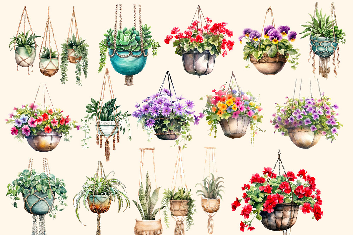 Flowers in hanging pots clipart, a Decorative Illustration by Hello My Print (Photo 2 of 10)