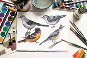 Backyard Birds of North America, an Animal Illustration by FITALARTSNEDIGI (Thumbnail 5 of 8)
