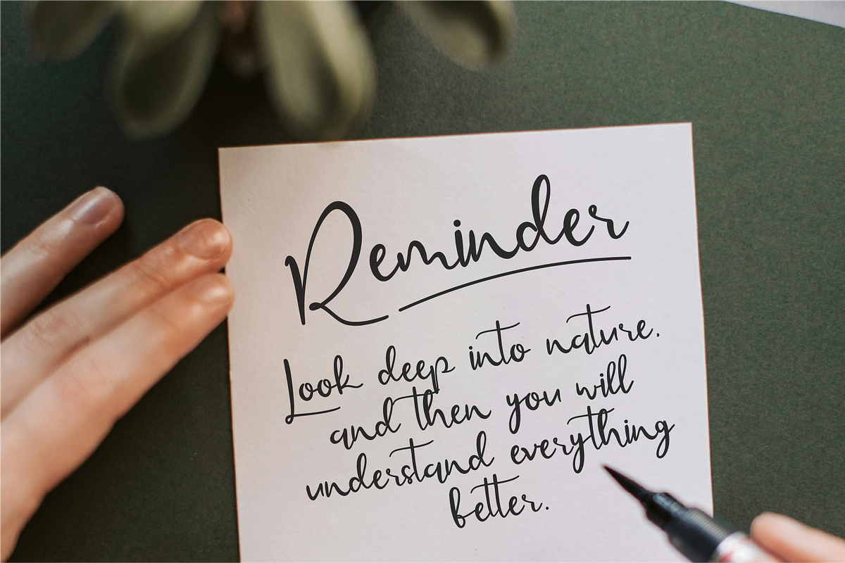 Seralace - Elegant Handwritten, a Handwritten Font by Indotype Foundry (Photo 10 of 10)