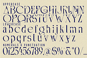 Shortened Connection - Elegant Font, a Serif Font by 177Studio (Thumbnail 7 of 8)
