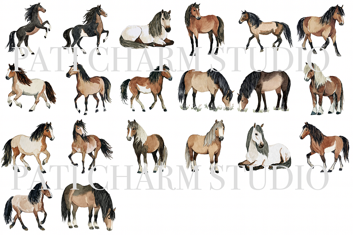 20 Horse Clipart, an Animal Illustration by Pati Charm Studio (Photo 2 of 8)