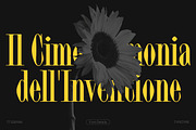 TT Espina, a Serif Font by TypeType (Thumbnail 15 of 15)