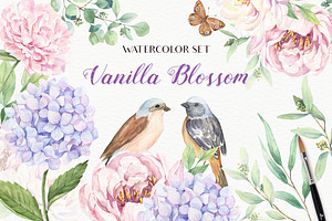 SALE! Vanilla Blossom-Watercolor Set